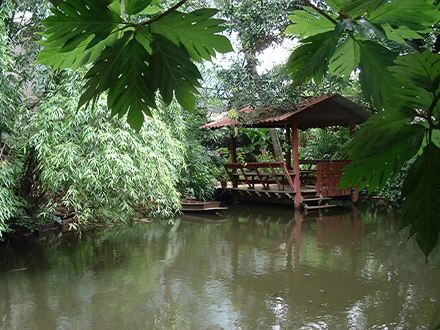 Turtle House - pond with sala 1