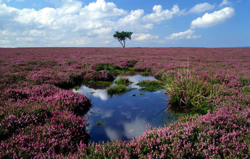 Peak-District-National-Park