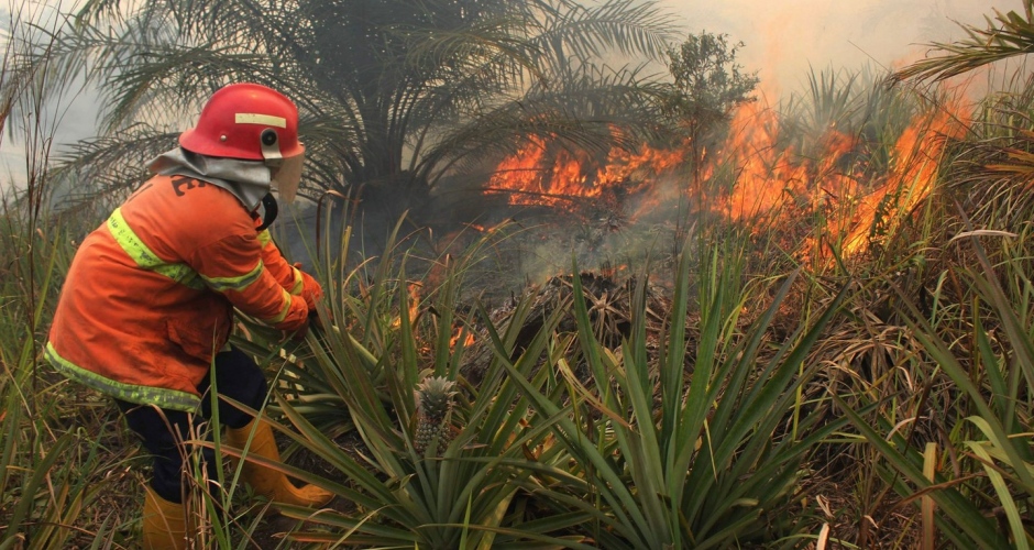 Riau Province, Indonesia  Photograph: Aswaddy Hamid/Reuters