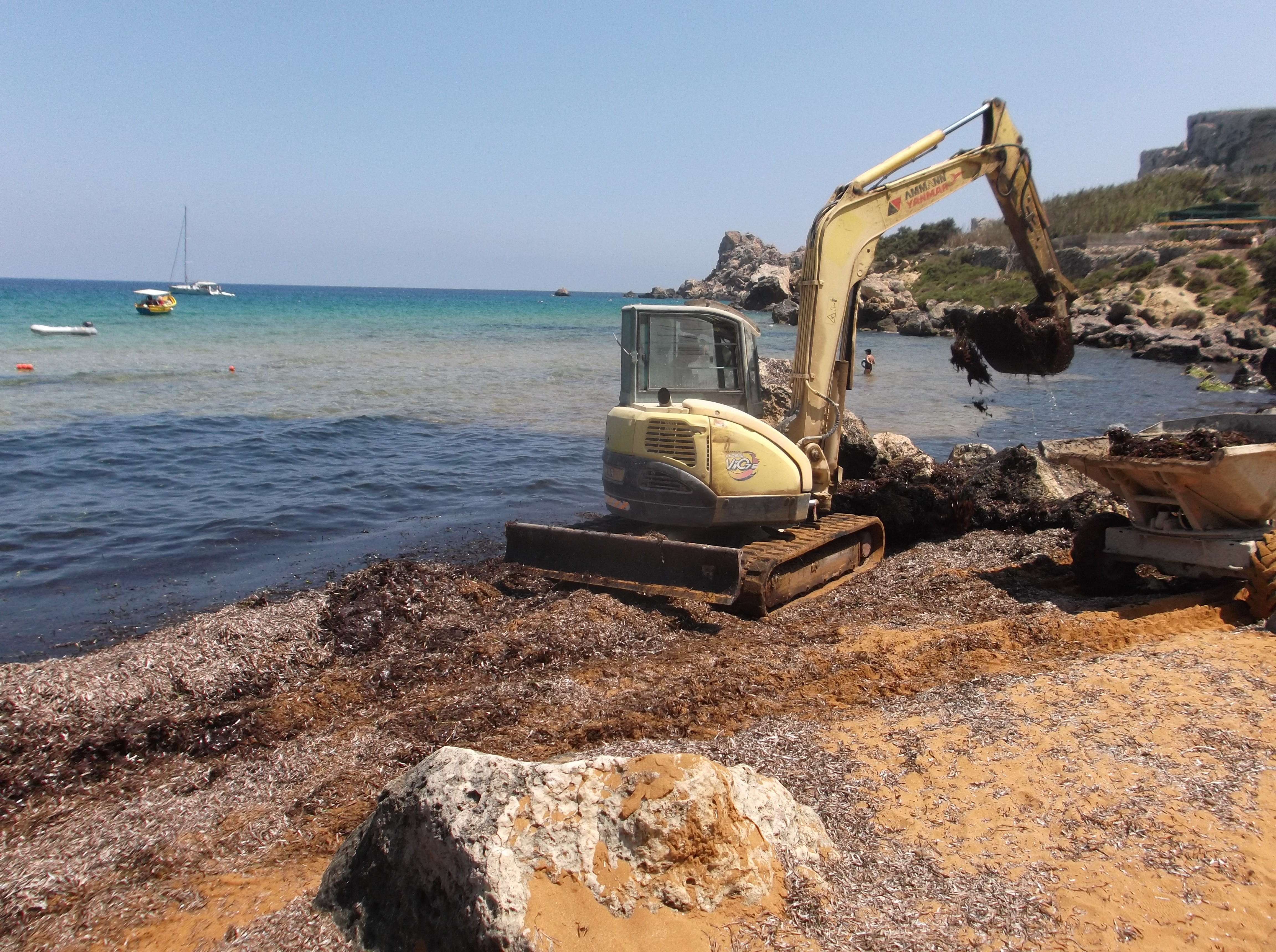 Sea-Weed-Clearance-14August2013 (4)