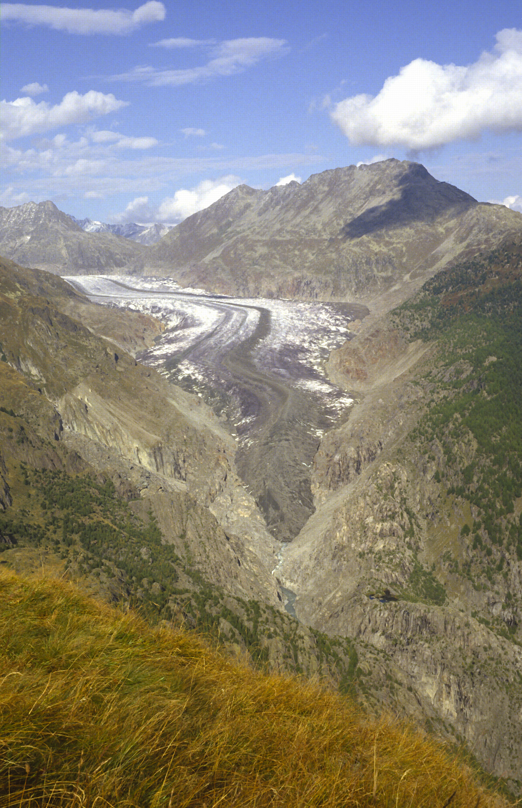 Great Aletsch Glacier © Pro Natura Center Aletsch