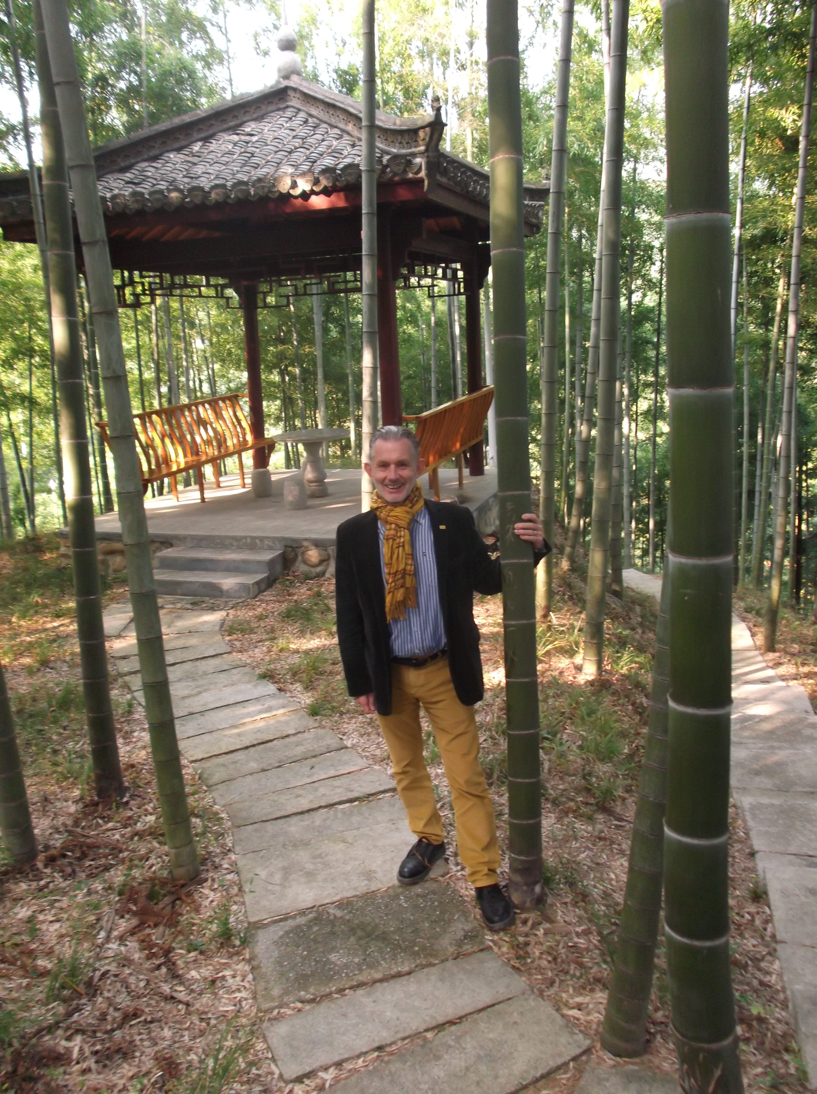 The author in a bamboo forest in Anhui Province, China