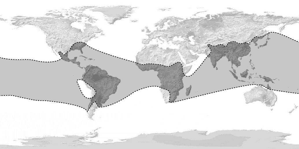 Bambusoideae_World_map