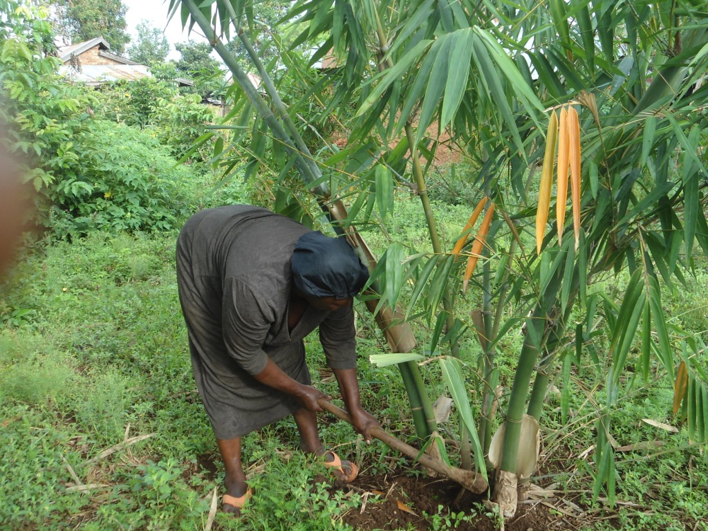 Milicent Atieno at her farm in Kenya