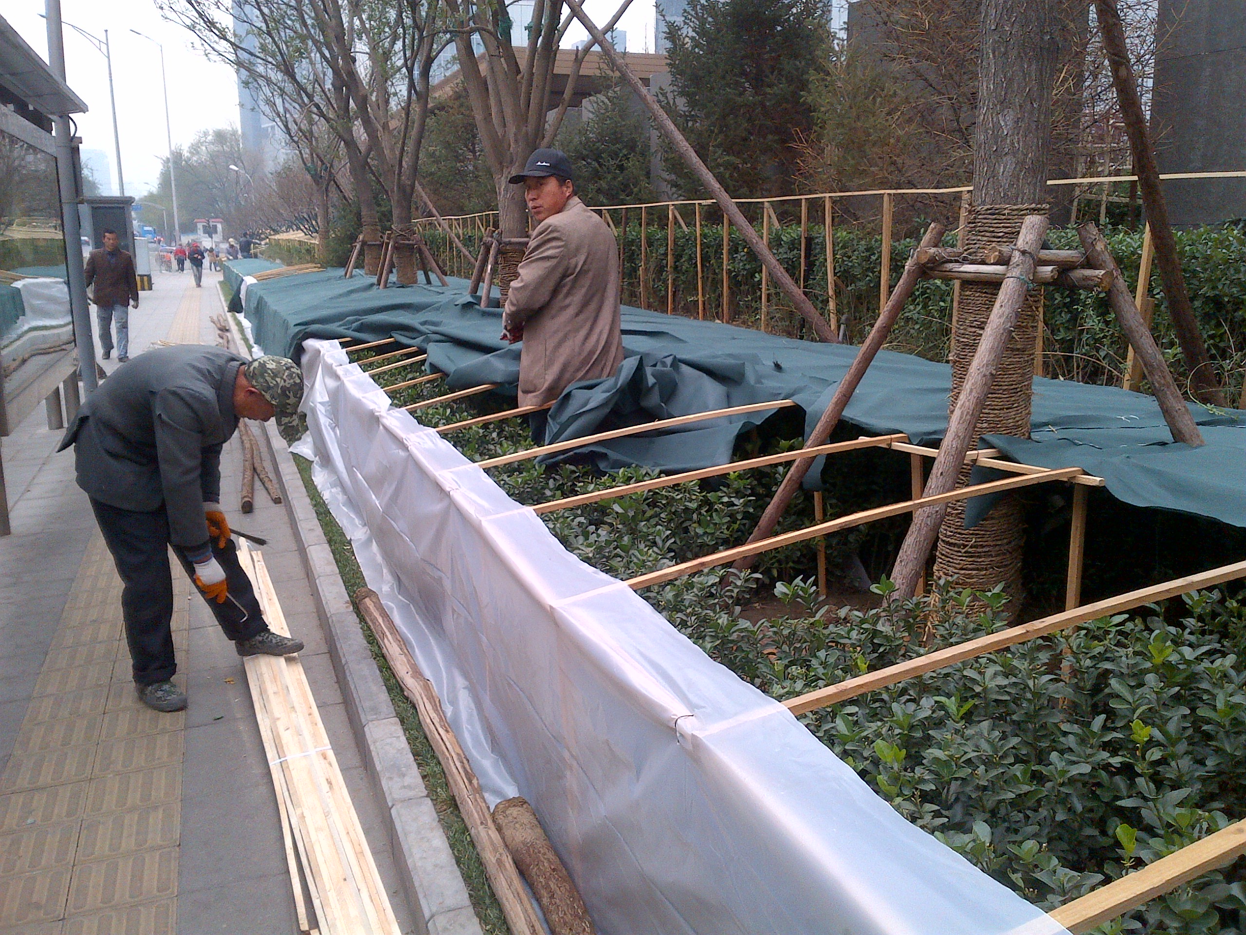 Beijing-winter-preparations (5)