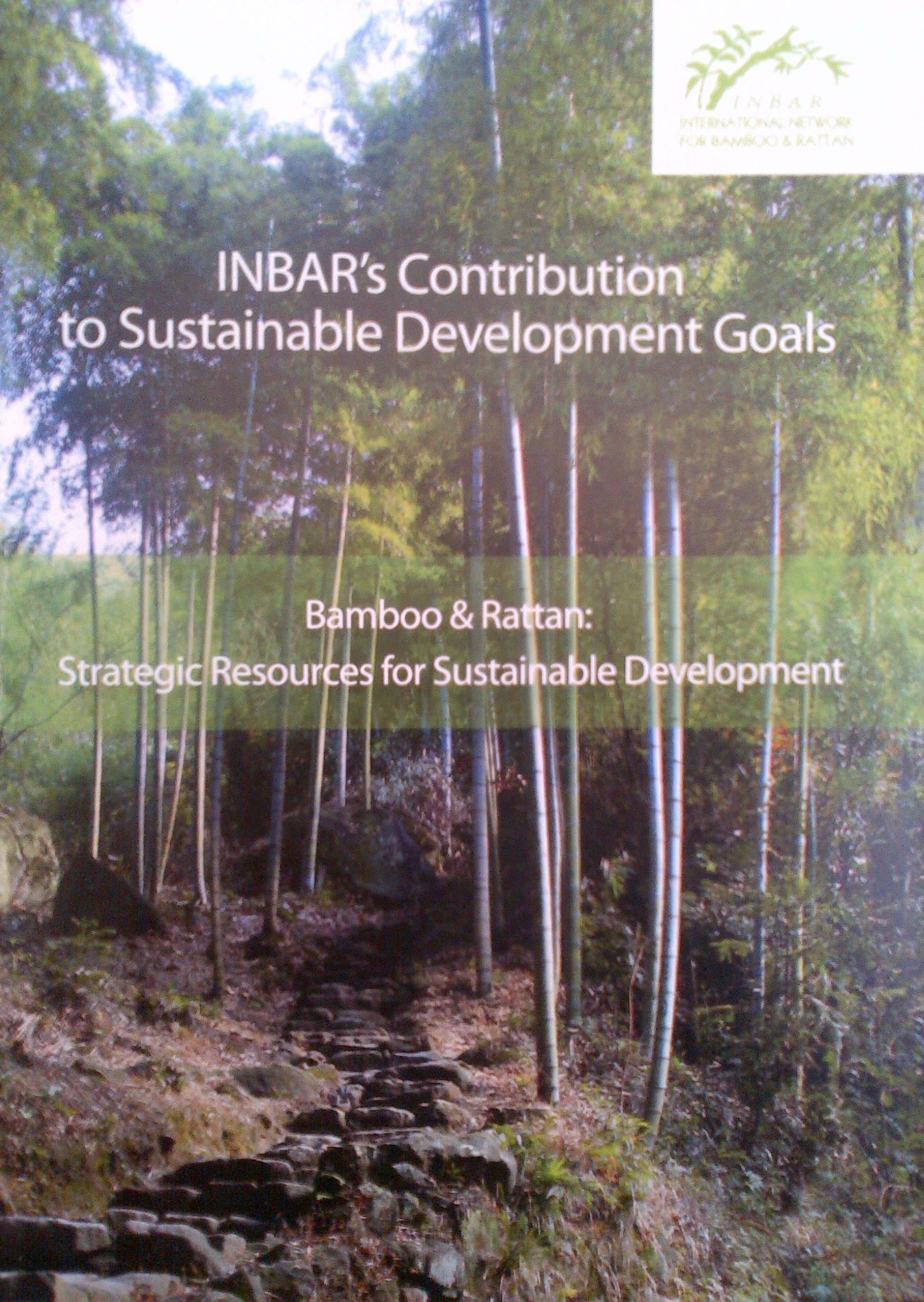 How bamboo and rattan contribute to the Sustainable Development Goals