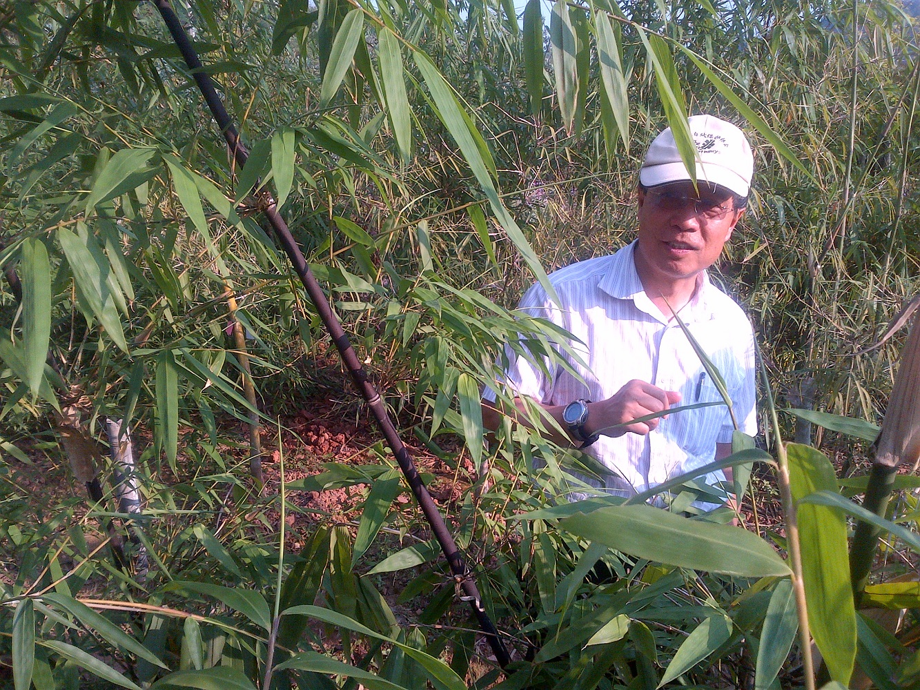 Black bamboo with prof Yang