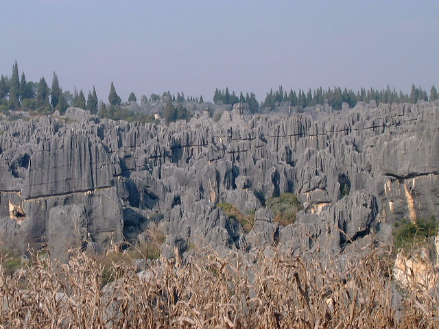 Major Stone Forest - view1