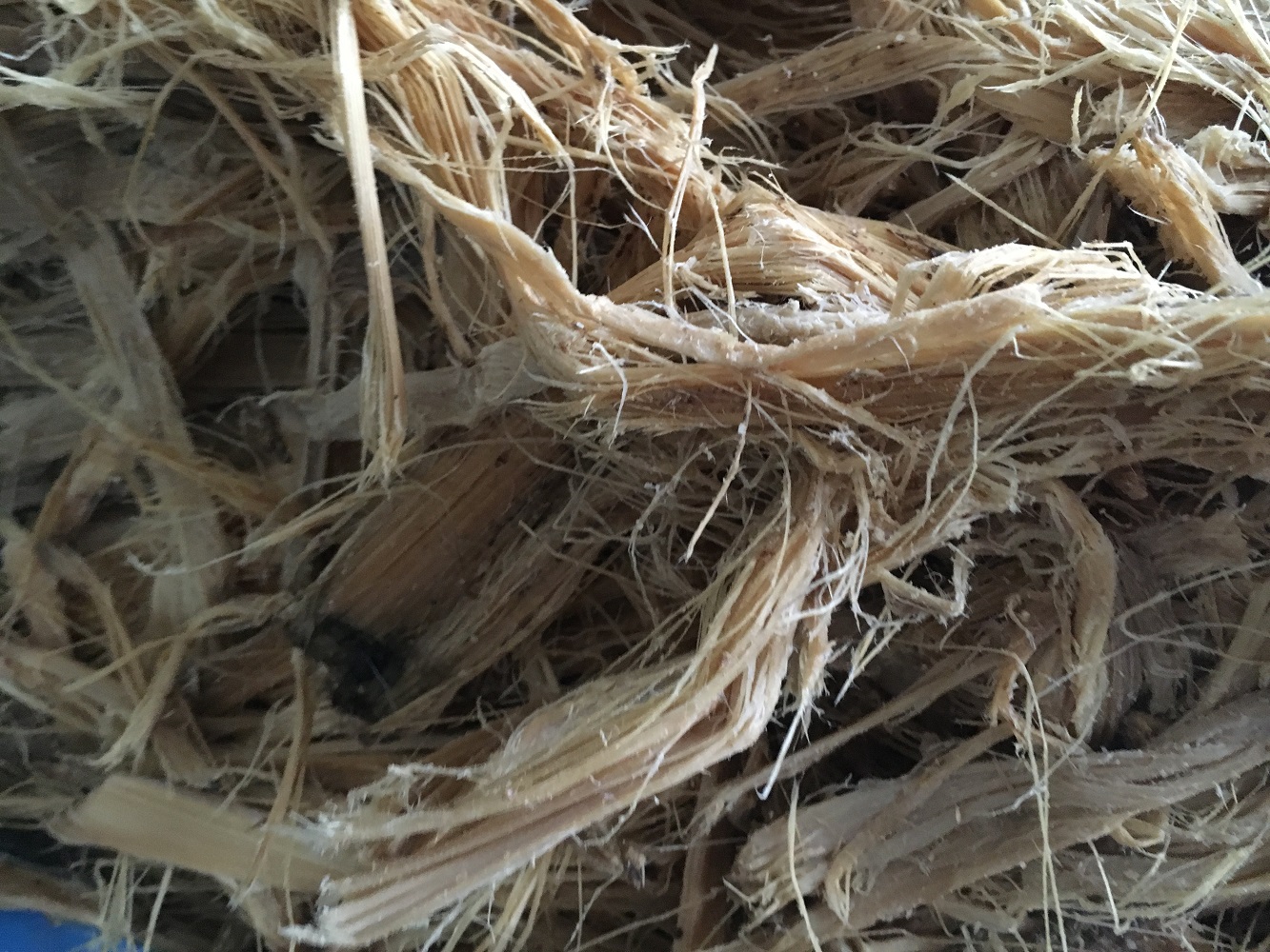 twitter-bamboo-fibres