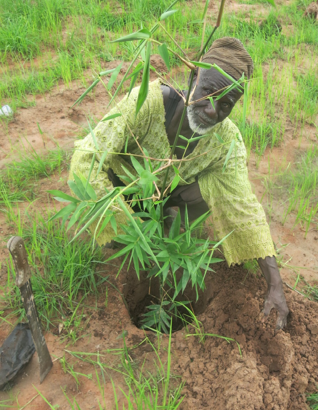 planting-bamboo (3)