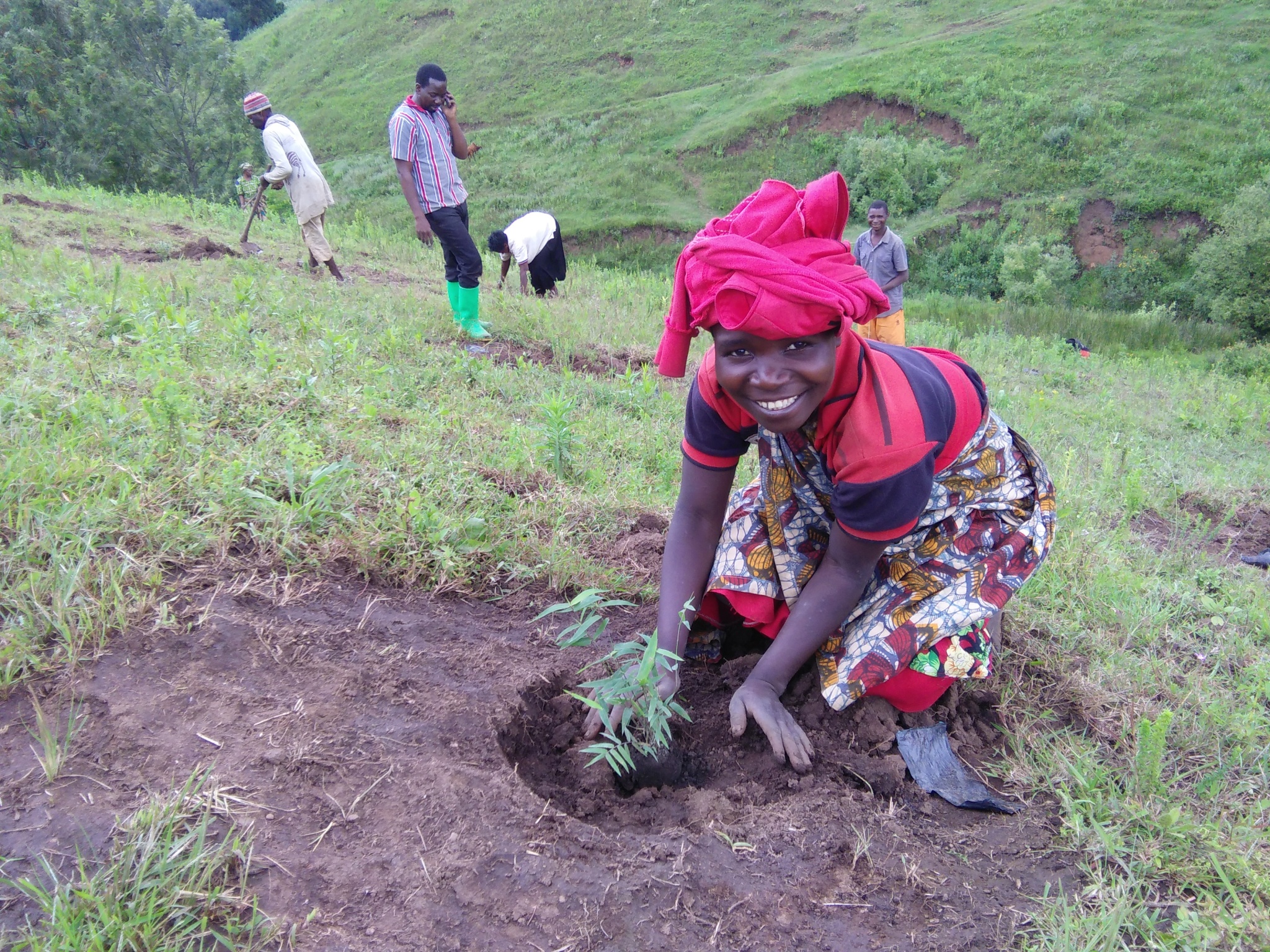 bamboo-planting-Tanzania