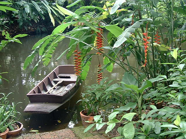 Turtle House - boat and garden 2